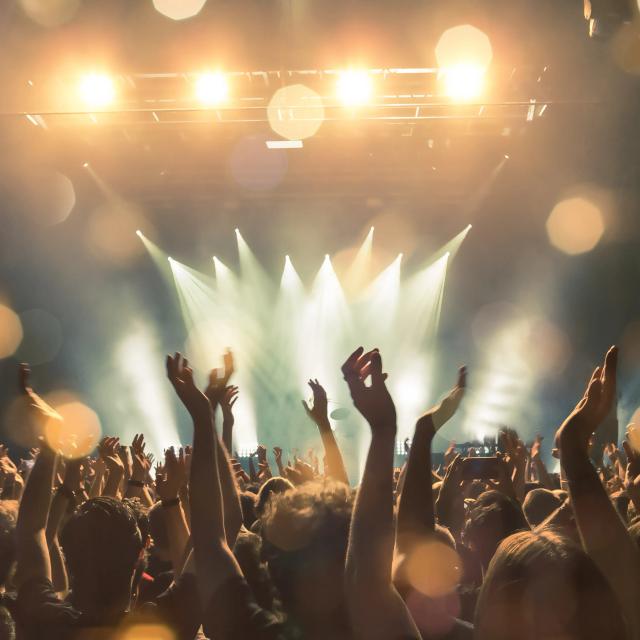 DJs pour festivals et concerts.