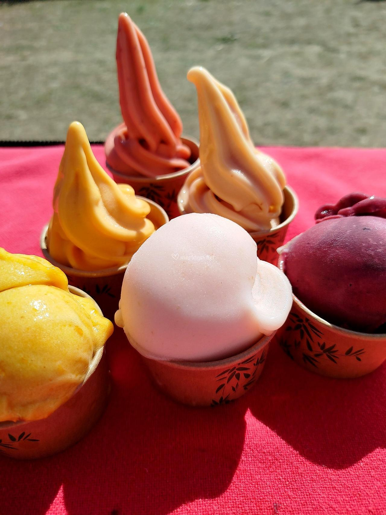 Maxifruit - Sorbets fermiers photo 2