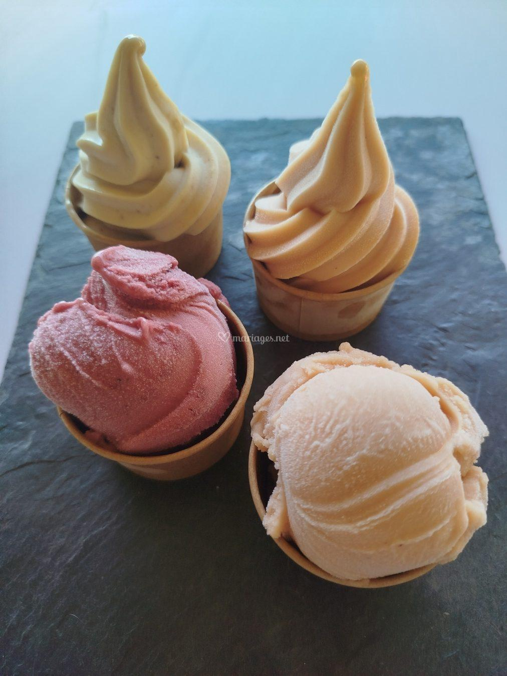 Maxifruit - Sorbets fermiers photo 3
